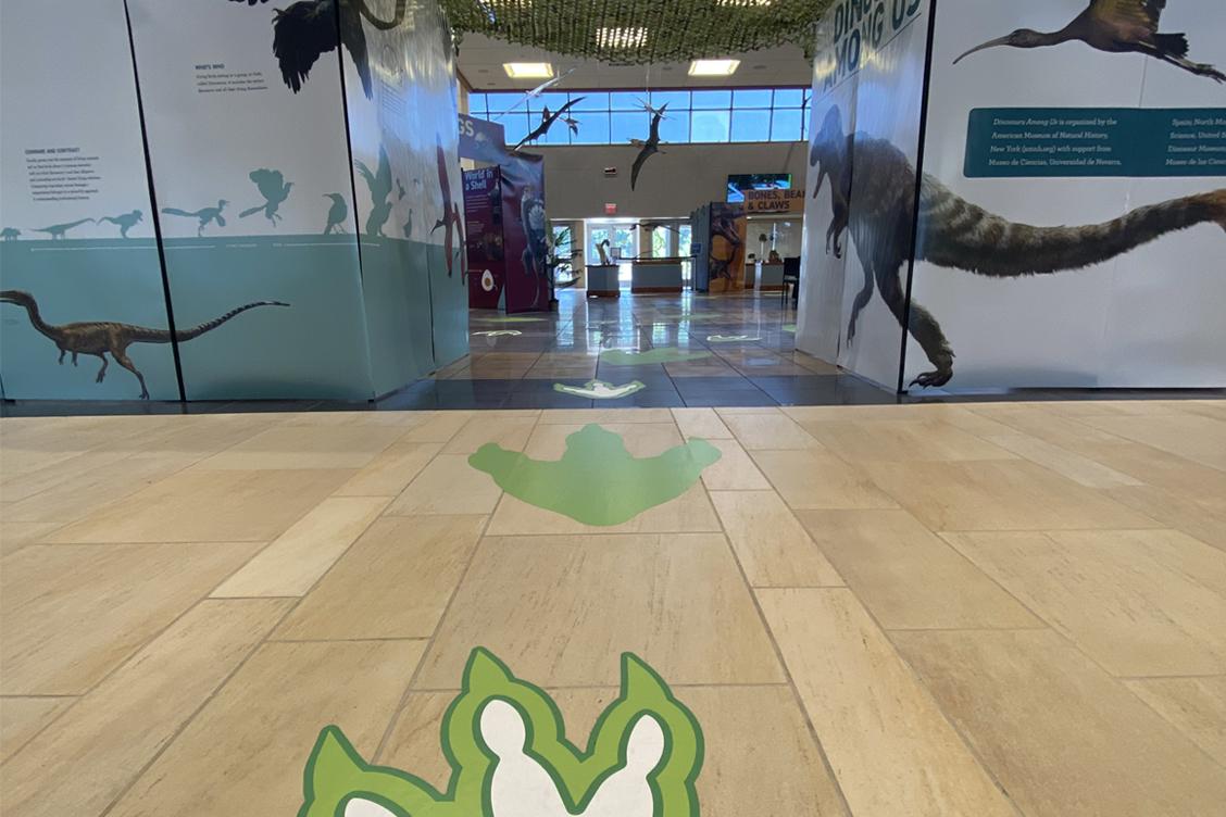 An image from Dinosaurs Among Us Exhibit 